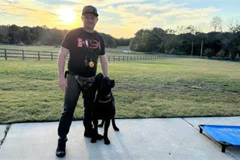 American Standard Live Dog Training