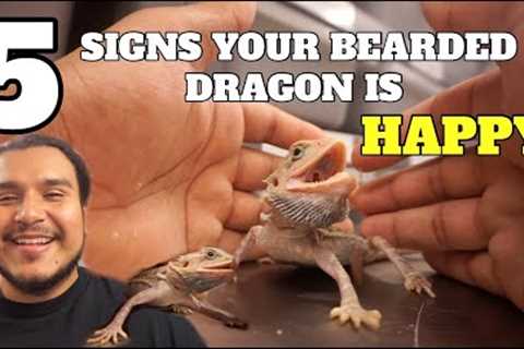 5 Signs Your Bearded Dragon Is Happy !! **Must Watch If You Own One**