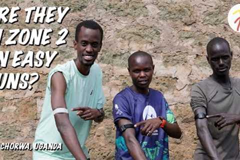 Ugandan athletes heart rate on easy runs