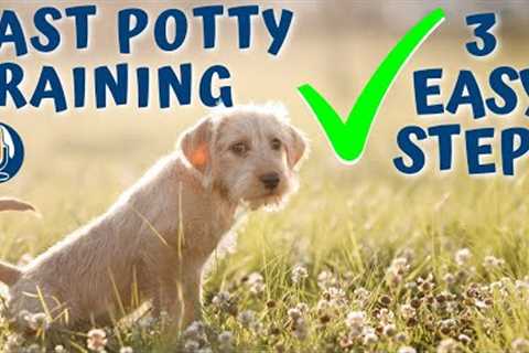 Potty Train Your Puppy in a Week (Easy 3 Step Process) #48