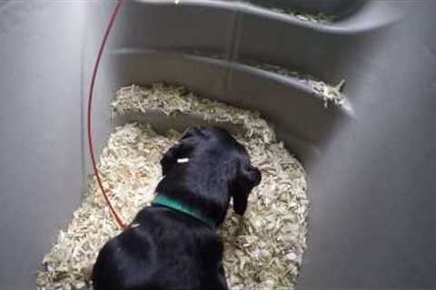 Buy A Dog House Underground Dog House
