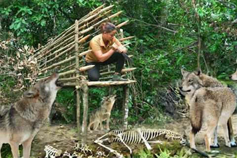 Face Alone With Ferocious Roaring Dogs, Quickly Build A Hideout, Primitive Survival