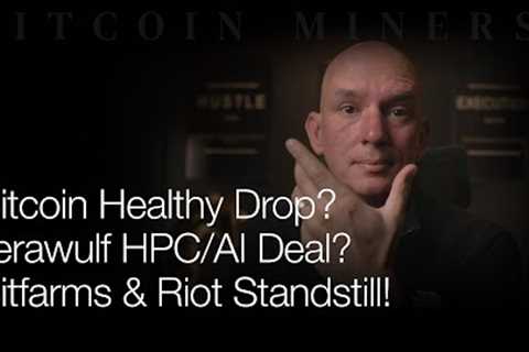 Bitcoin Healthy Drop? Terawulf HPC / AI Deal? Bitfarms &amp; Riot Standstill! Q&amp;A!
