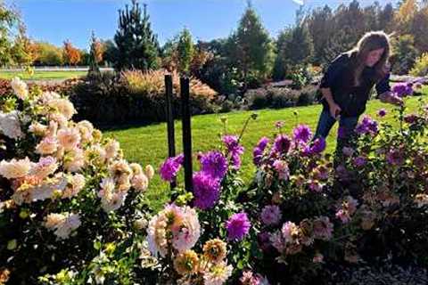 Cutting Flowers for a Wedding, Planting Trees & Harvesting Pumpkins! 🌸🌳🎃 // Garden Answer