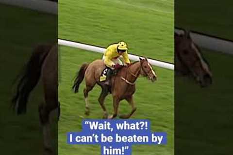 THE CRAZIEST RACE FINISH EVER? 🤣 #horseracing #animals #animalshorts #horse #horses #horseshorts