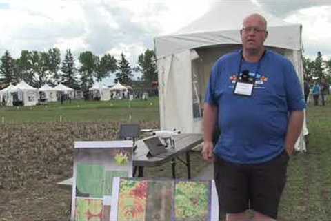 Canola School: Scouting guided by live view drone technology