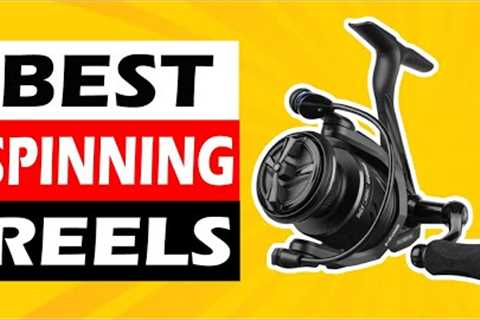 Top 5 Best Spinning Reels in 2025