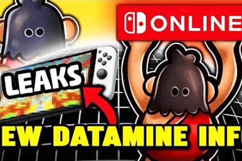 Nintendo Switch Online Playtest DATAMINED! - Every New Detail (Combat, Content Sharing &amp; More)