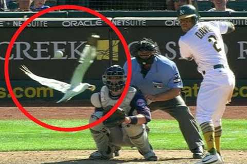 Craziest 1 in a Trillion Moments in Sports History