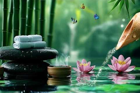 Gentle music Reduce stress, Anxiety and Depression🌿Heals the Body and Soul, Meditation &amp;..