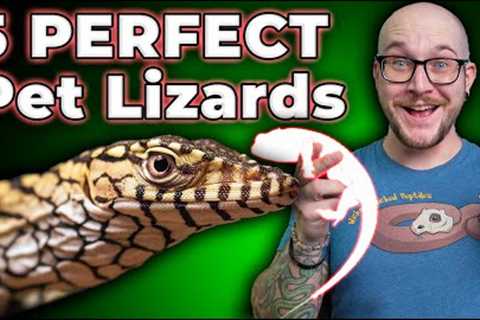 Top 5 BEST Lizards At EVERY Size! You'll NEVER Guess Number One!