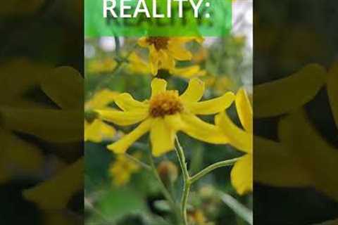 Gardening Myths vs. The Reality #shorts #garden #gardening