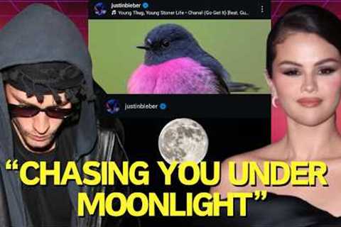 Justin Bieber Posts Moon and Rare Bird as References to Selena Gomez. Here’s Why 😱