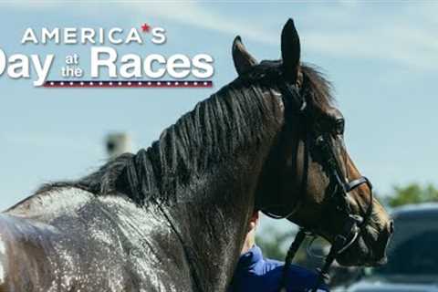 America's Day at the Races - October 24, 2024