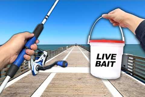 Eating Whatever I Catch! Fishing a NEW PIER (Catch and Cook)