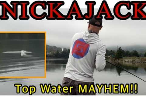Fall Bass Fishing; NICKAJACK Tournament Top Water MAYHEM!!