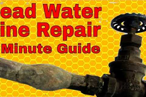 Lead Water Line Repair: One Minute Guide!
