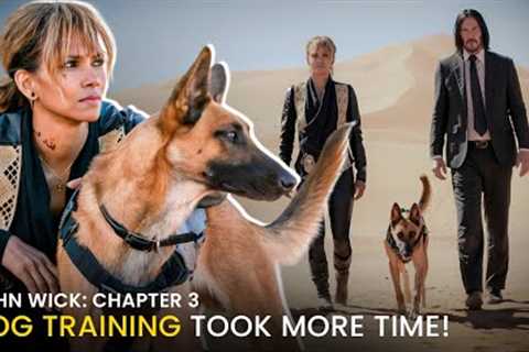 John Wick Stuntman Reveals Dog Training Took Longer Than The Film's Shooting