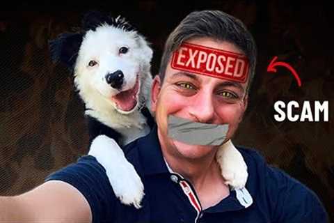 Zak George: Dog training's BIGGEST fraud