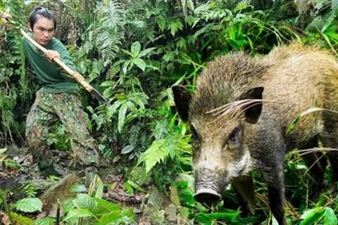 2 days survival in the wild, skills, trapping wild boars, catching bamboo rats, alone survival