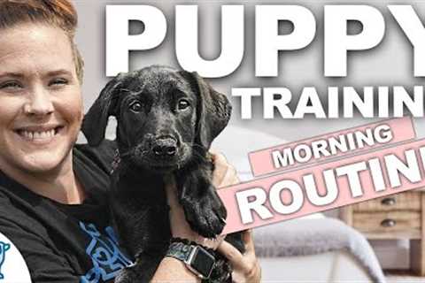5 Puppy Training WINS You Should Get EVERY Morning!
