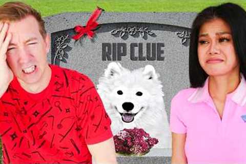 Is My Dog Alive?