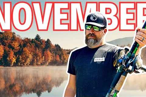 Out Fish Your Friends this NOVEMBER with These 8 Bass Lures