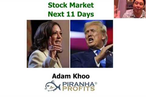 Stock Market Next 11 Days