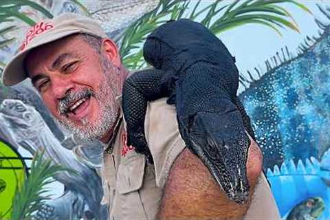 THE BIGGEST REPTILE ZOO EVER😳