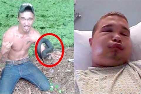 When Keeping Exotic Pets Goes Wrong