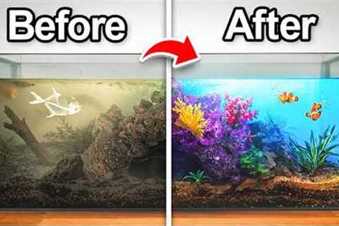 This Aquarium Was Abandoned, So I Transformed It