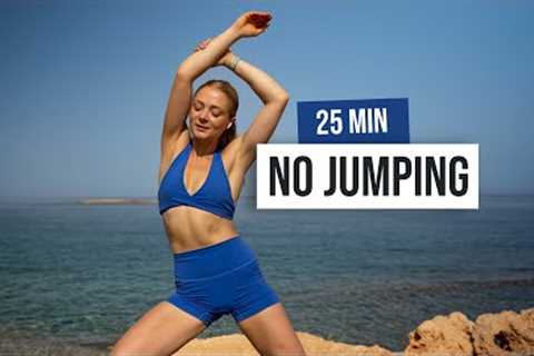 25 MIN KILLER NO JUMPING Workout - No Equipment, Low Impact Home Workout