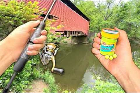 Eating Whatever I Catch.. Creek Fishing for Stocked Trout (Catch and Cook)