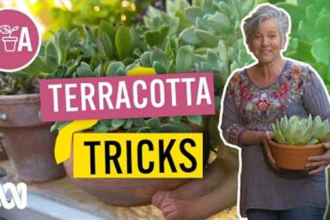 Easy Terracotta Pot Tips and Tricks | Gardening Hacks | Gardening Australia
