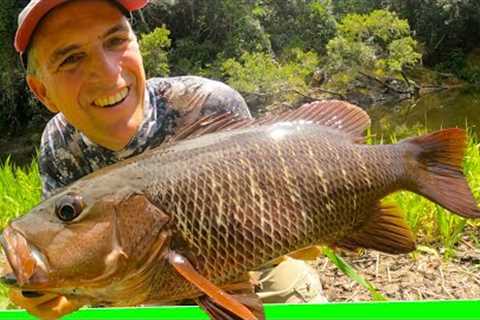 Best jungle overnight fishing trip ever. Catch n cook. EP.597