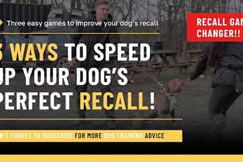 3 ways to speed up your dog’s recall!!!
