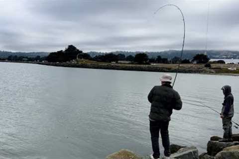 10/27/24 First time striper fishing at Point Emery.