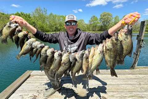 2,000 Fish out of 1 Lake (Crappie and Bass Catch Clean Cook)