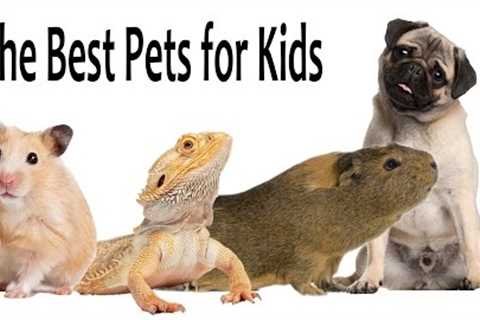 The Best Pets For Kids