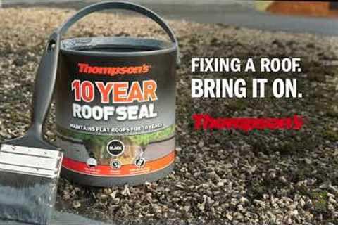 Thompson's 10 Year Roof Seal