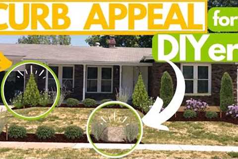 3 DIYer Landscape Designs UNDER $1,000 ( ☢️ Don't OVERPAY! ☢️)