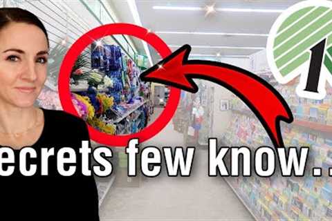 10 Dollar Tree *HIDDEN GEMS* You Should BUY NOW! 😱 (hacks that will save you money and BEAT AMAZON)