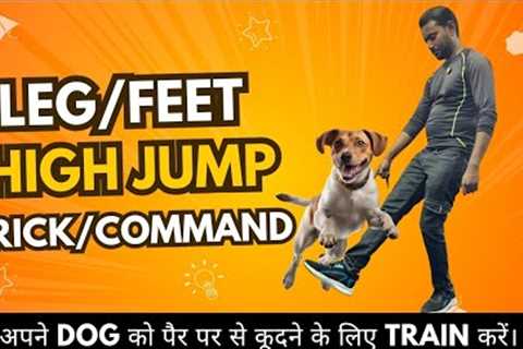 Advance Dog Training: How to train your Dog Leg/Feet Jump trick (Dog training in Hindi)