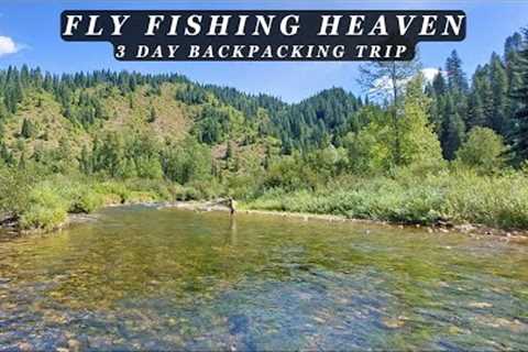This stream is the Epitome of Perfection - 3 day Backcountry Fly Fishing Trip!