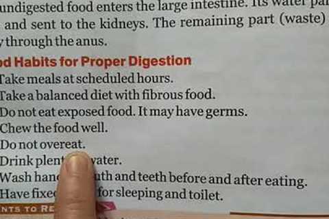 Good Habits for Proper Digestion | EVS