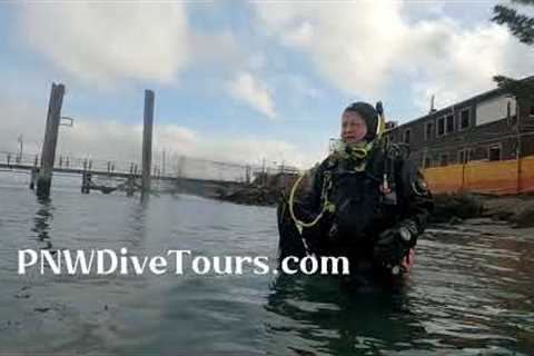 Seattle Scuba Diving Tour Guide  👌 PNW Dive Tours