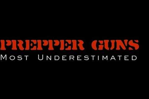 Prepper Guns - Most Underestimated Gun