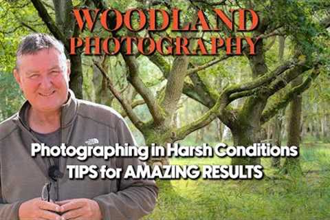 Woodland Photography Tips. Poor light, NO PROBLEM!