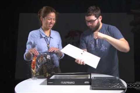 Guild Wars 2 Collector's Edition Unboxing