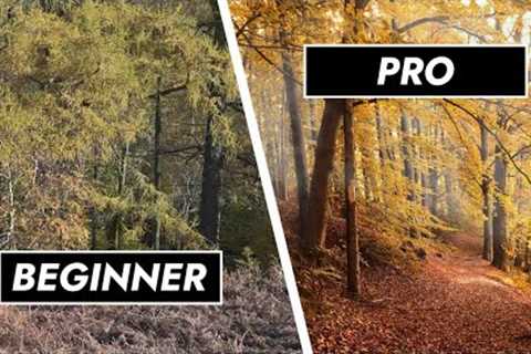 10 Quick Pro Tips for Autumn Photography 🍂